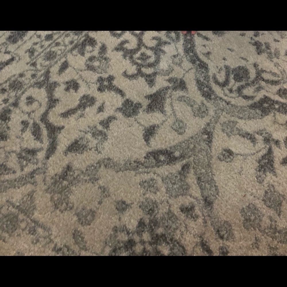 Dorothea Ivory/Gray Area Rug, 8x10 - Picture 2 of 3